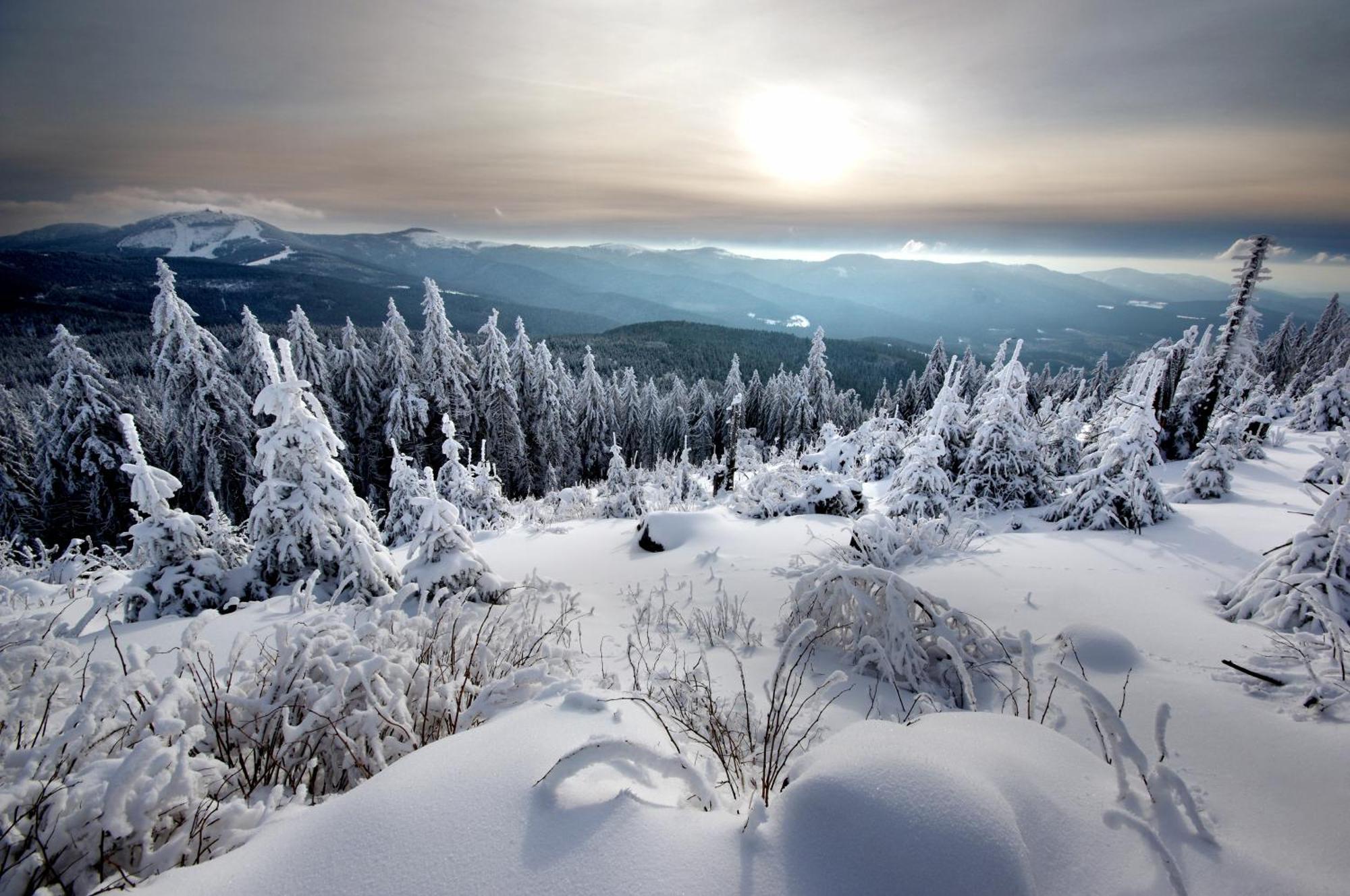 Sonnenhof Resort Bayerischer Wald 拉米 外观 照片