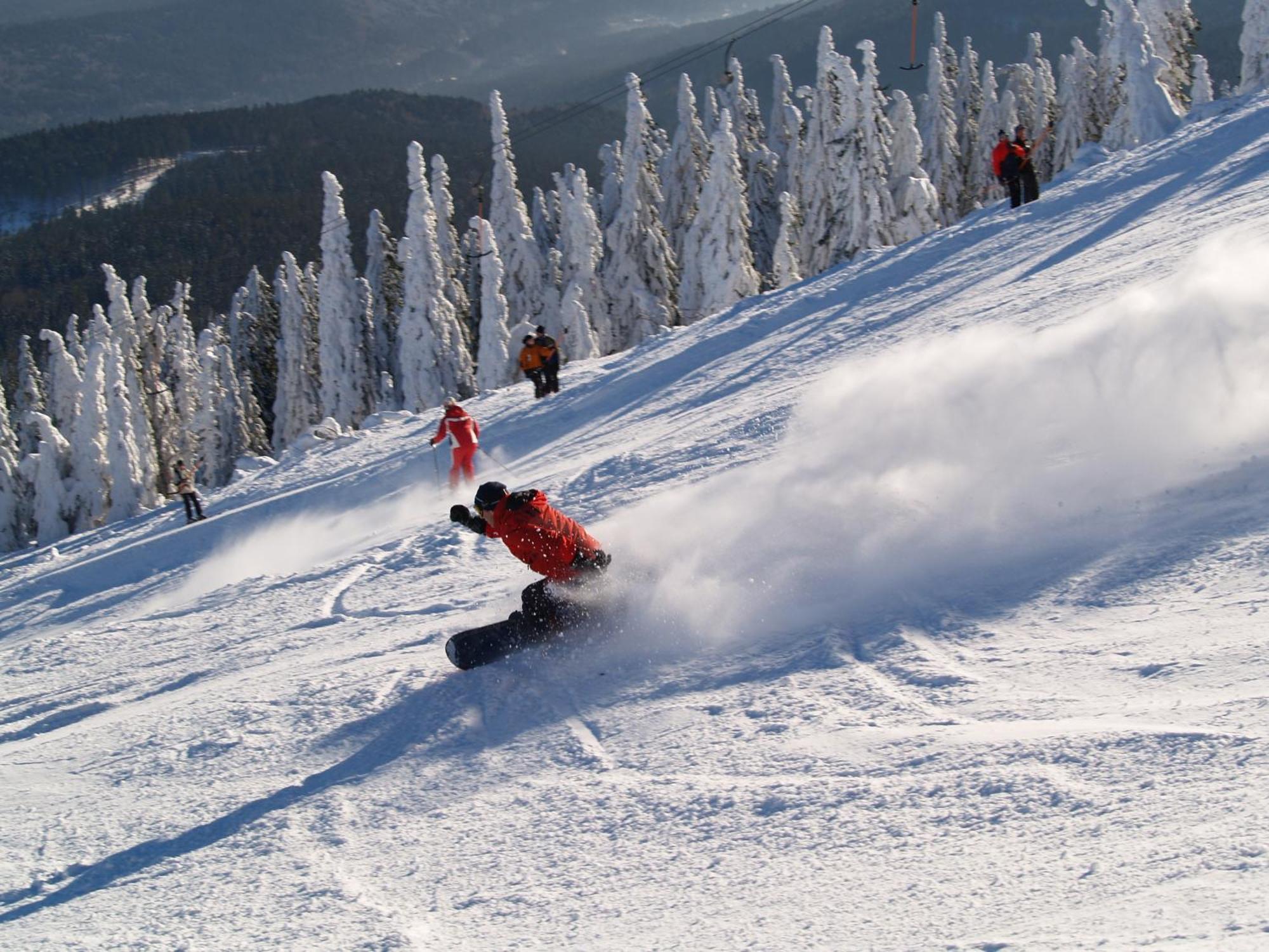 Sonnenhof Resort Bayerischer Wald 拉米 外观 照片