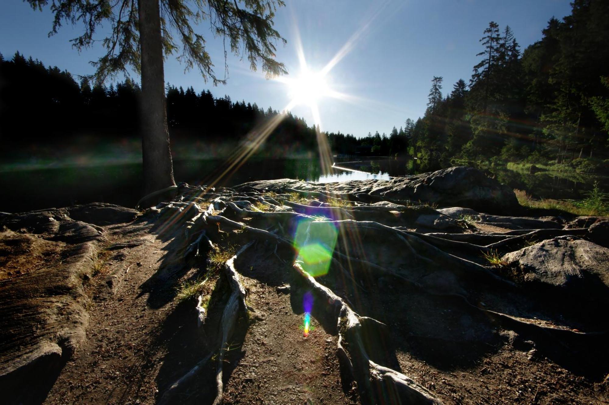 Sonnenhof Resort Bayerischer Wald 拉米 外观 照片